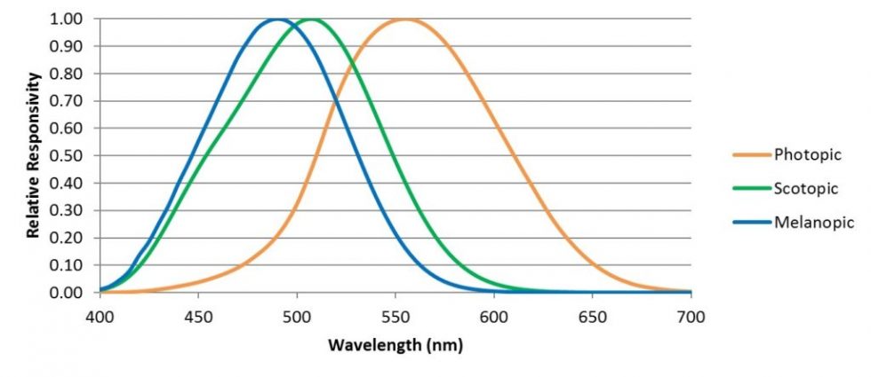 Entraining Circadian Rhythms - All Things Lighting® Association